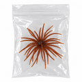 Sea Urchin Bait